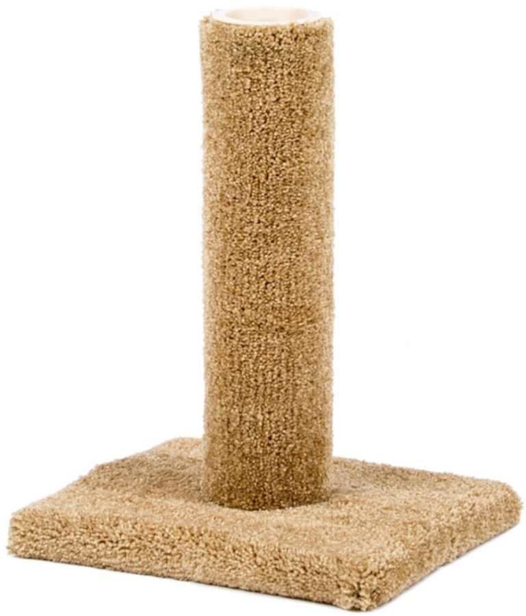 Classy Kitty Carpeted Cat Post with Spring Toy