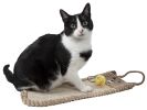Pet Life Eco-Natural Sisal And Jute Hanging Carpet Kitty Cat Scratcher Lounge With Toy(D0102H7L4GY)