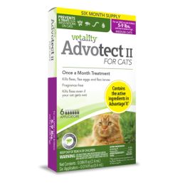 Vetality Advotect II Cat Flea Treatment Cats 5-9 lbs, 6 Doses