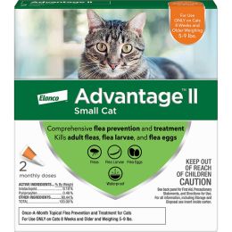 Advantage II Cat Small Orange 2-Pack